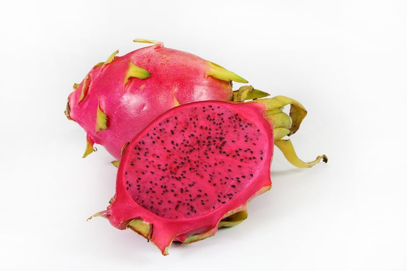 Dragon Fruit Cultivation