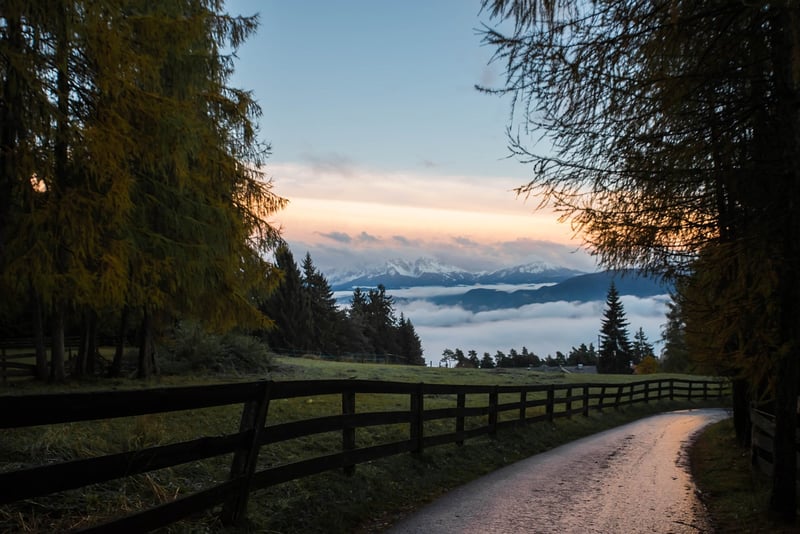 Elven Pathways Inspiration