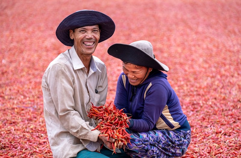 Harvesting crops